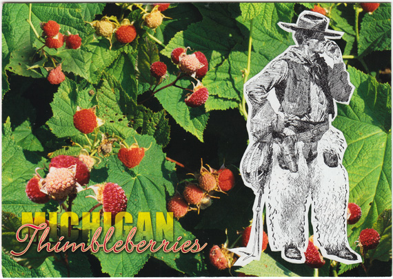 A rugged cowboy enjoys delicious thimbleberries.