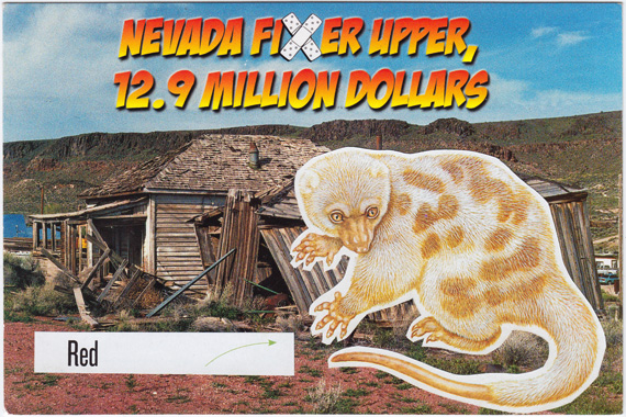 Postcard collage of a weird-looking animal in front of a derelict Nevada shack.