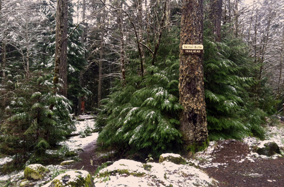 Picture of trees at a trailhead covered with a little snow.